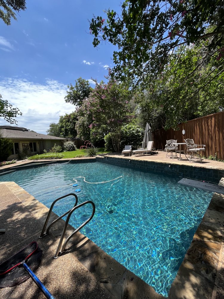 Modern backyard swimming pool with clear blue water in a Dallas-Fort Worth residential neighborhood