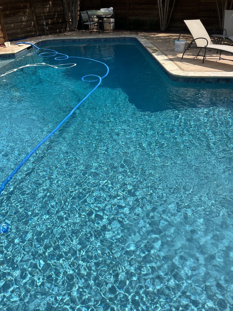 Sparkling residential pool serviced by Champion Pool & Spa